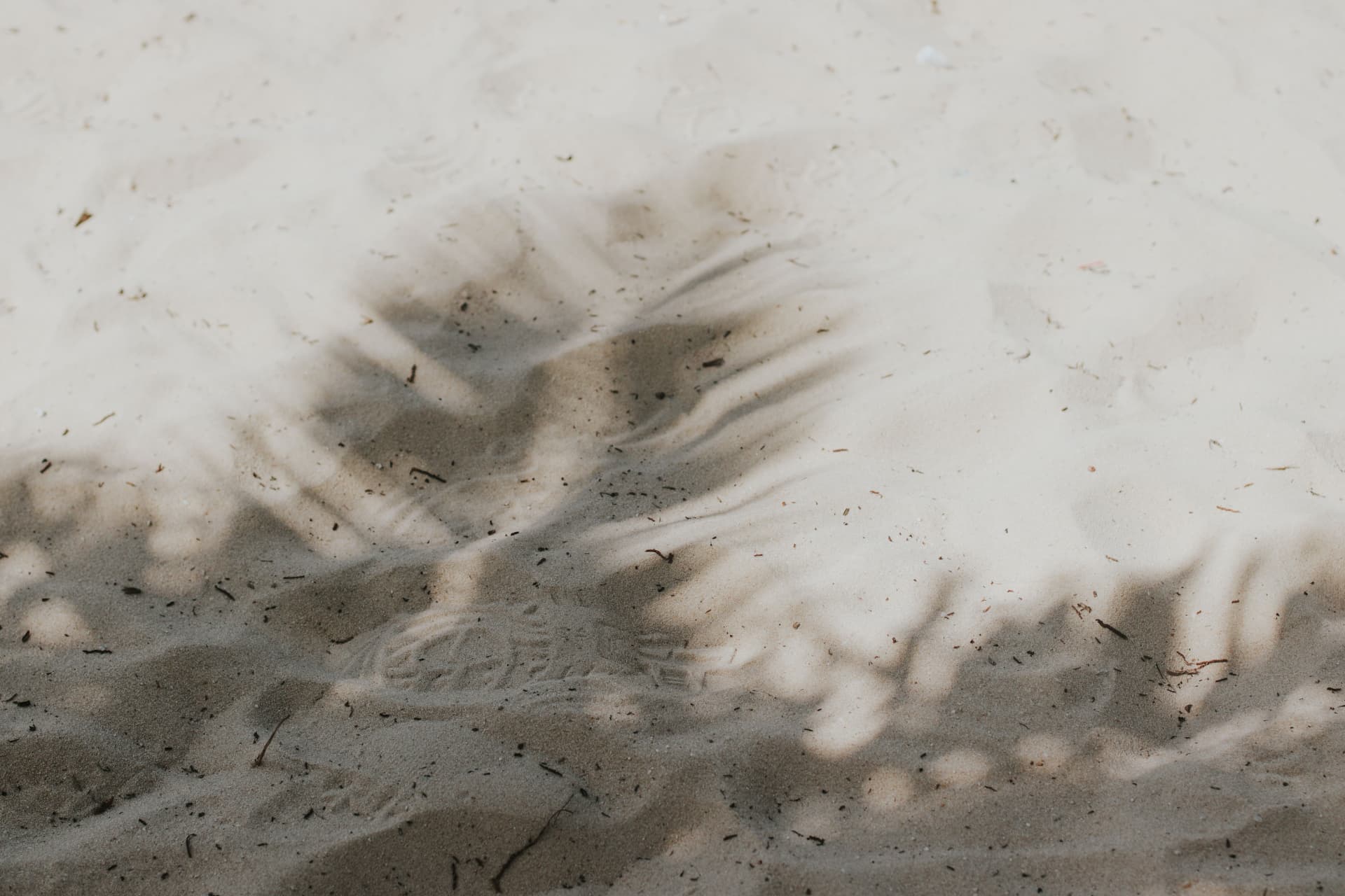 Sombras de folhas sobre areia clara